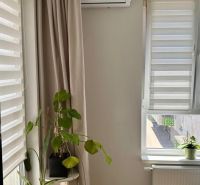 A room with a wooden floor decor, plants, and air conditioning in a 2-room apartment.