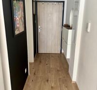A hallway in a 2-room apartment with a wooden decor floor and doors in a wood decor.