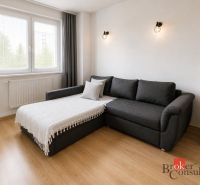 Living room in a two-room apartment with a sofa, wooden decor flooring, and a refrigerator.