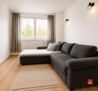 Living room in a 2-bedroom apartment with a comfortable sofa and a floor with a wooden design.