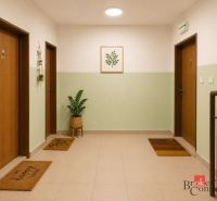 A hallway in a 2-room apartment with a plant, tiles, and decorations.