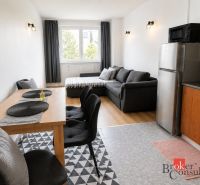 Living room in a two-room apartment with a sofa and a wooden decor floor.