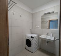 A bathroom with a washing machine and a sink in a 2-room apartment.