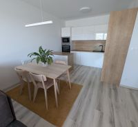 Kitchen and dining area in a 2-room apartment with a wooden decor floor.