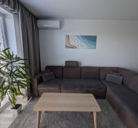 Living area with a large sofa, table, plant, and wall-mounted air conditioning in a 2-room apartment.