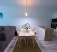 Dining room in a 2-room apartment with a dining table and a wooden decor floor.