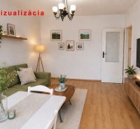 Living room in a two-room apartment with a wooden decor floor and furniture.