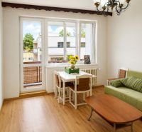 Living room in a two-room apartment with a wooden decor floor and a dining table.