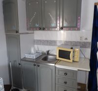 Kitchen area in a 2-room apartment with a microwave and decorated cabinets.