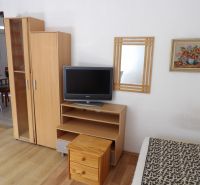 A television on a low cabinet, a wardrobe, and a mirror in a 2-room apartment with a wooden decor floor.