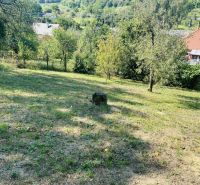 Garden at a family house on Sabinovská Street in Prešov with fruit trees.