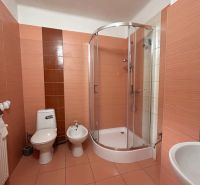 Bathroom in a family house: shower, toilet, bidet, tiles in warm tones.