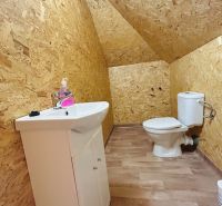 The interior of a bathroom in a family house with a wooden decor floor and OSB boards.