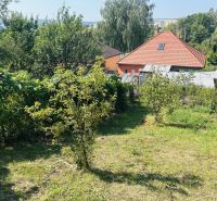 A garden at the family house on Sabinovska Street in Presov with fruit trees.
