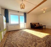 Living room in a two-room apartment with a wooden decor floor and carpets.