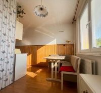Dining nook in a 2-room apartment with a wooden decor floor and butterfly wallpaper.