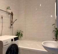 A bathroom with a bathtub, washing machine, and plants in a 2-room apartment.
