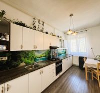 A kitchen with a wooden decor countertop, table, and floor in a two-room apartment.