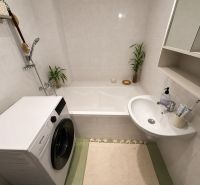 A bathroom in a 2-room apartment with a bathtub, sink, and washing machine. Neutral shades.