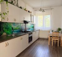 Bright kitchen of a 2-room apartment with wood-patterned flooring and plants.