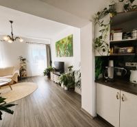 Living room in a two-room apartment with light, plants, and a wooden decor floor.