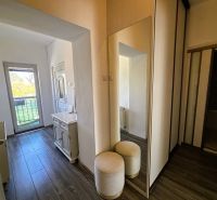 The entrance hall in a 2-room apartment with a mirror and a wooden decor floor.