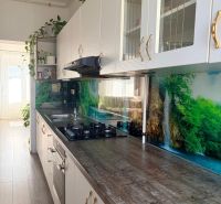 A kitchen in a 2-room apartment with a wooden decor floor and a forest motif on the wall.