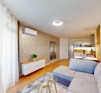 Living space with wood-patterned flooring, a sofa, and a dining table in a 2-room apartment.