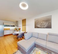 2-room apartment with a kitchen, sofa, and wooden decor flooring.