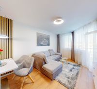 Living room in a two-room apartment with a wooden decor floor and a gray sofa.