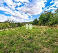 Lands - living in Kolíňany, a green meadow surrounded by trees and a blue sky.