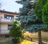 A family house in Jelenec with a balcony surrounded by greenery and coniferous trees.