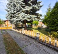 A garden of a family house in Jelenec with a large coniferous tree and fencing.