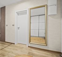 In the 2-room apartment, there is a mirror with a golden frame and a floor with a wooden decor.