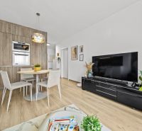 Living room and kitchen in a two-room apartment with a wooden decor floor.