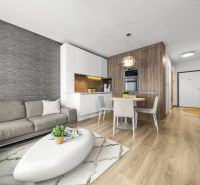 Living room in a two-room apartment with a sofa and a kitchenette, wooden decor flooring.
