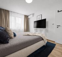 Bedroom with a bed, television, and wood-decor flooring in a 2-room apartment.