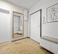 Entrance hall in a 2-room apartment with a wooden decor floor and a mirror.