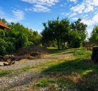 A garden at a family house in Šalgočka, with grass and fruit trees.