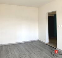 An empty room in a one-room apartment with a wood-patterned floor.
