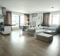 Living room with a kitchenette, wooden decor flooring, spacious sofa, 4-room apartment.