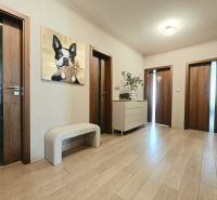 A hallway in a 4-room apartment with a picture of a dog, wooden floor decor, and furniture.