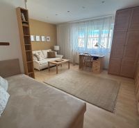 Living room in a studio apartment with a wood-patterned floor, a white sofa, and a desk.