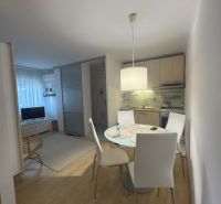 Dining area in a studio apartment with a kitchen and a wooden decor floor.
