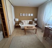 Living area of a studio apartment with a sofa, wooden table, and decorative elements.