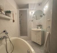Bathroom with a bathtub, sink, and shower in a studio apartment.