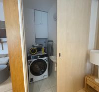 A bathroom in a studio apartment with a washing machine and sliding doors, flooring with a wooden decor.