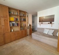 Living room in a studio apartment with a bookshelf and a sofa, wooden decor flooring.