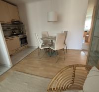 Kitchen and dining area in a studio apartment with a wooden decor floor.