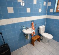 Bathroom in a family house with blue tiles, a sink, and a toilet.